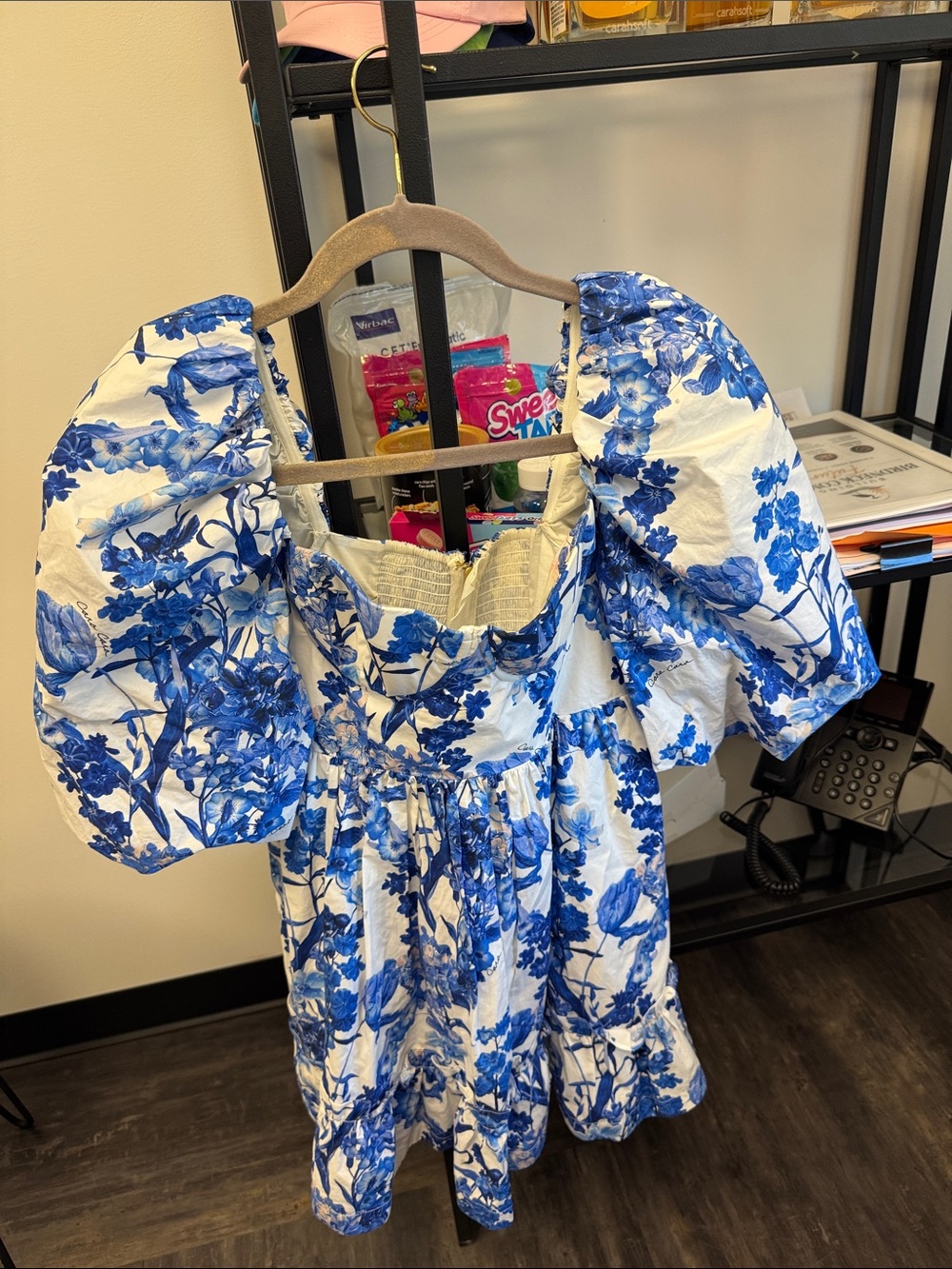 Cara Cara Blue and White Floral Puff-Sleeve Mini Dress